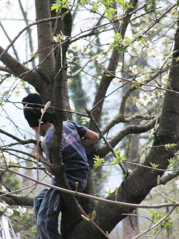 PICT12